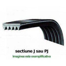 Curea 1309 J6 Megadyne