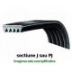 Curea 1118 EPJ5 Optibelt
