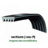 Curea 1248 J4 Megadyne
