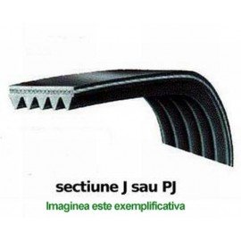 Curea 1208 J6